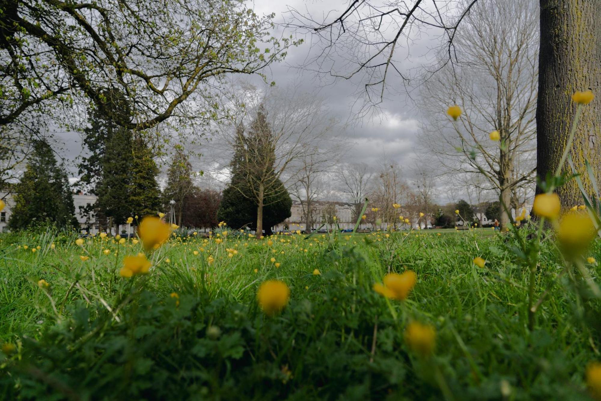 Tunstall House Cheltenham Luaran gambar
